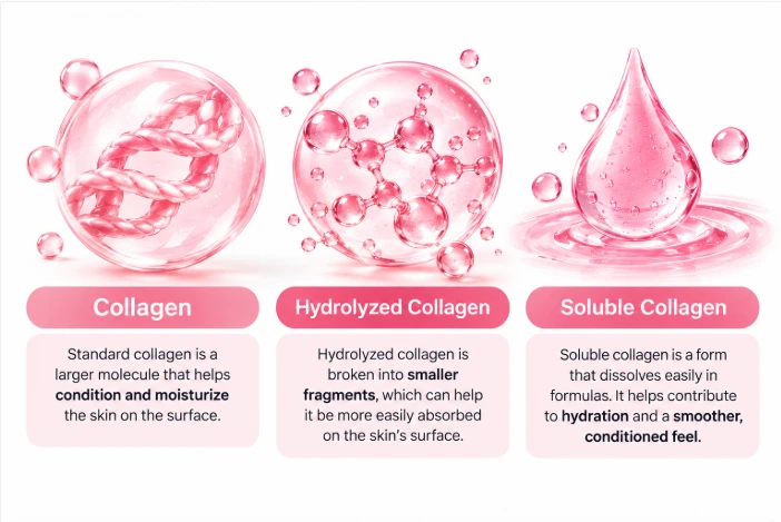 Collagen, hydrolyzed collagen and soluble collagen types explained for Medicube Jelly Cream